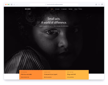 Welfare website template