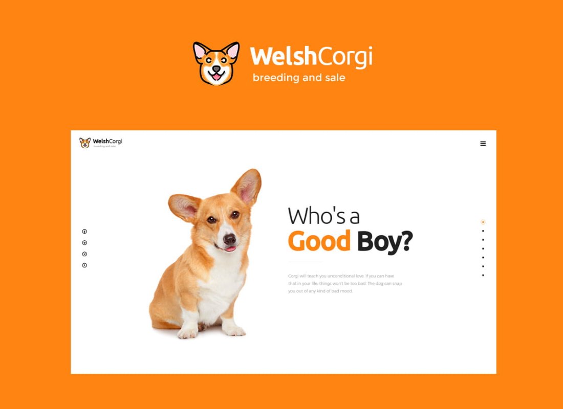 Welsh Corgi
