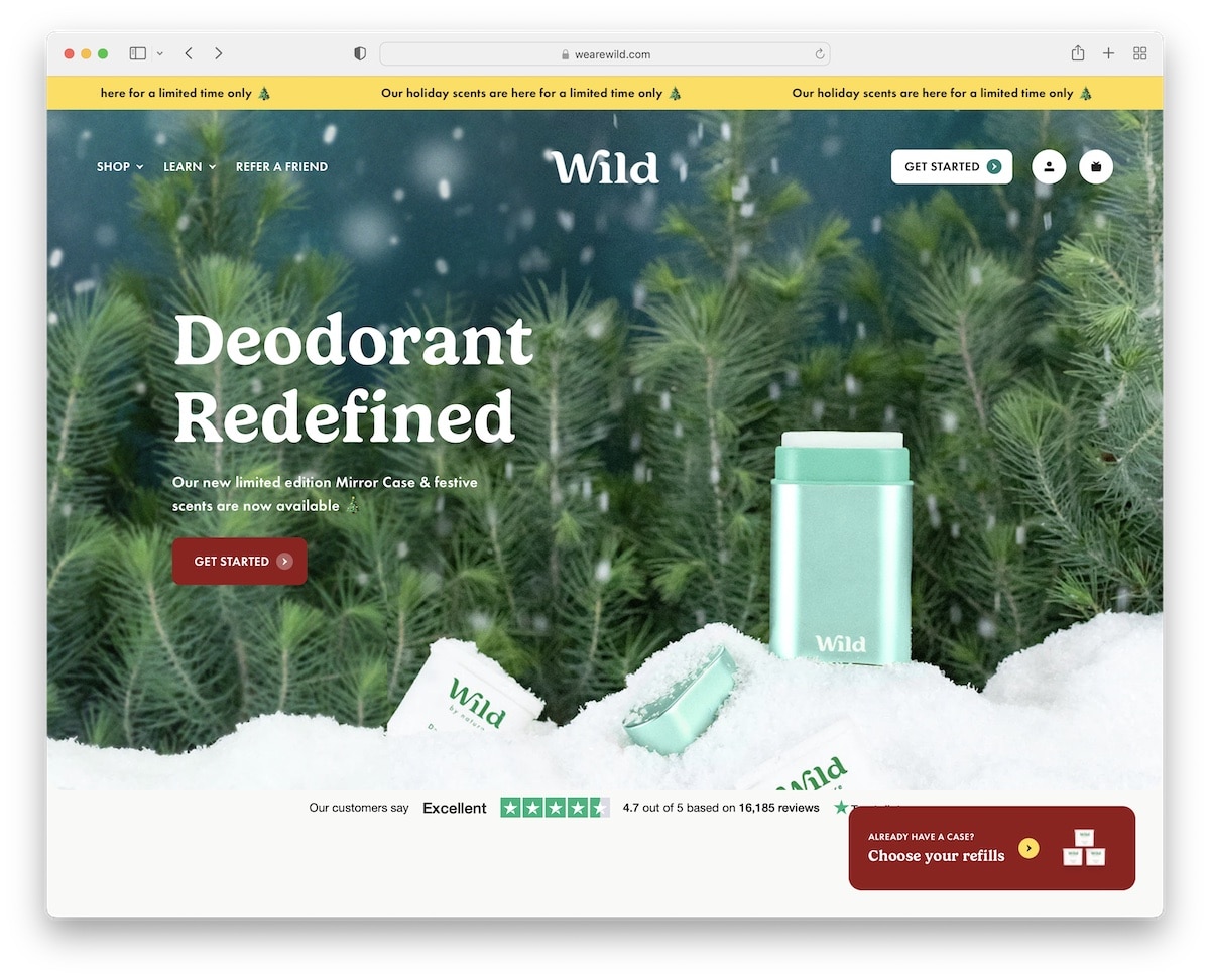 wild clean website example