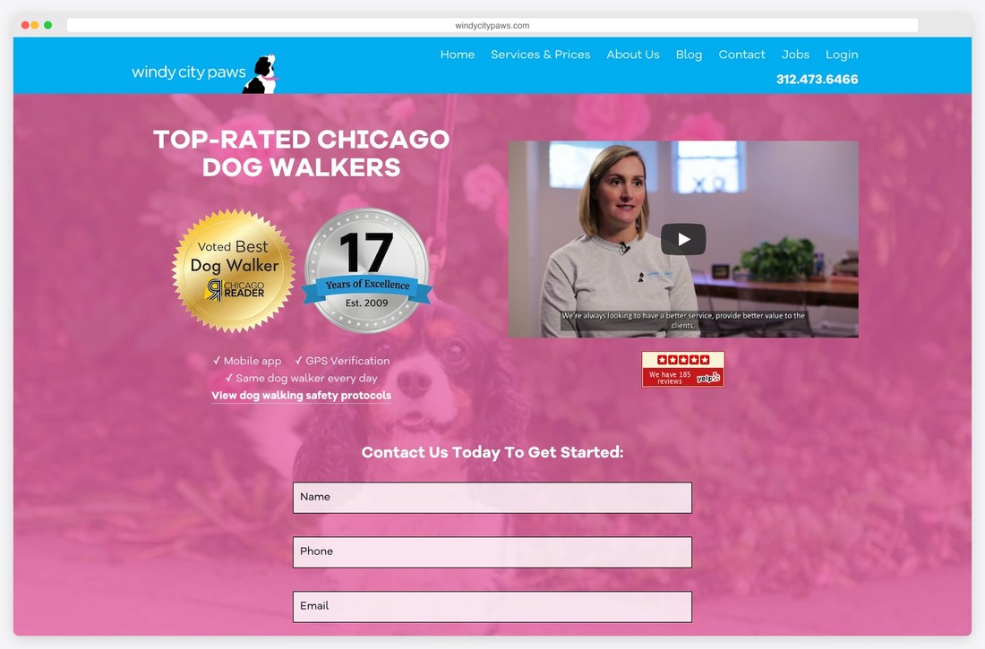 windy city paws website example