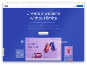 Wix Website Examples