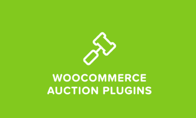 WooCommerce Auction for Bidding