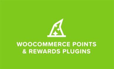 woocommerce points and rewards plugins