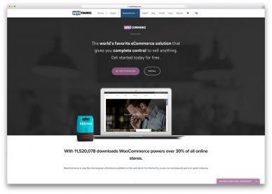 WooCommerce website examples