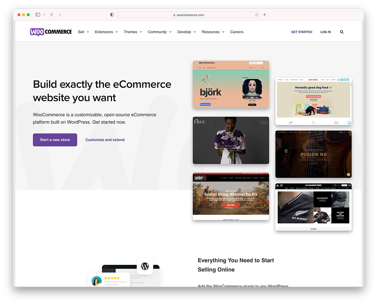 woocommerce website design
