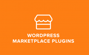 Best WordPress Marketplace Plugins