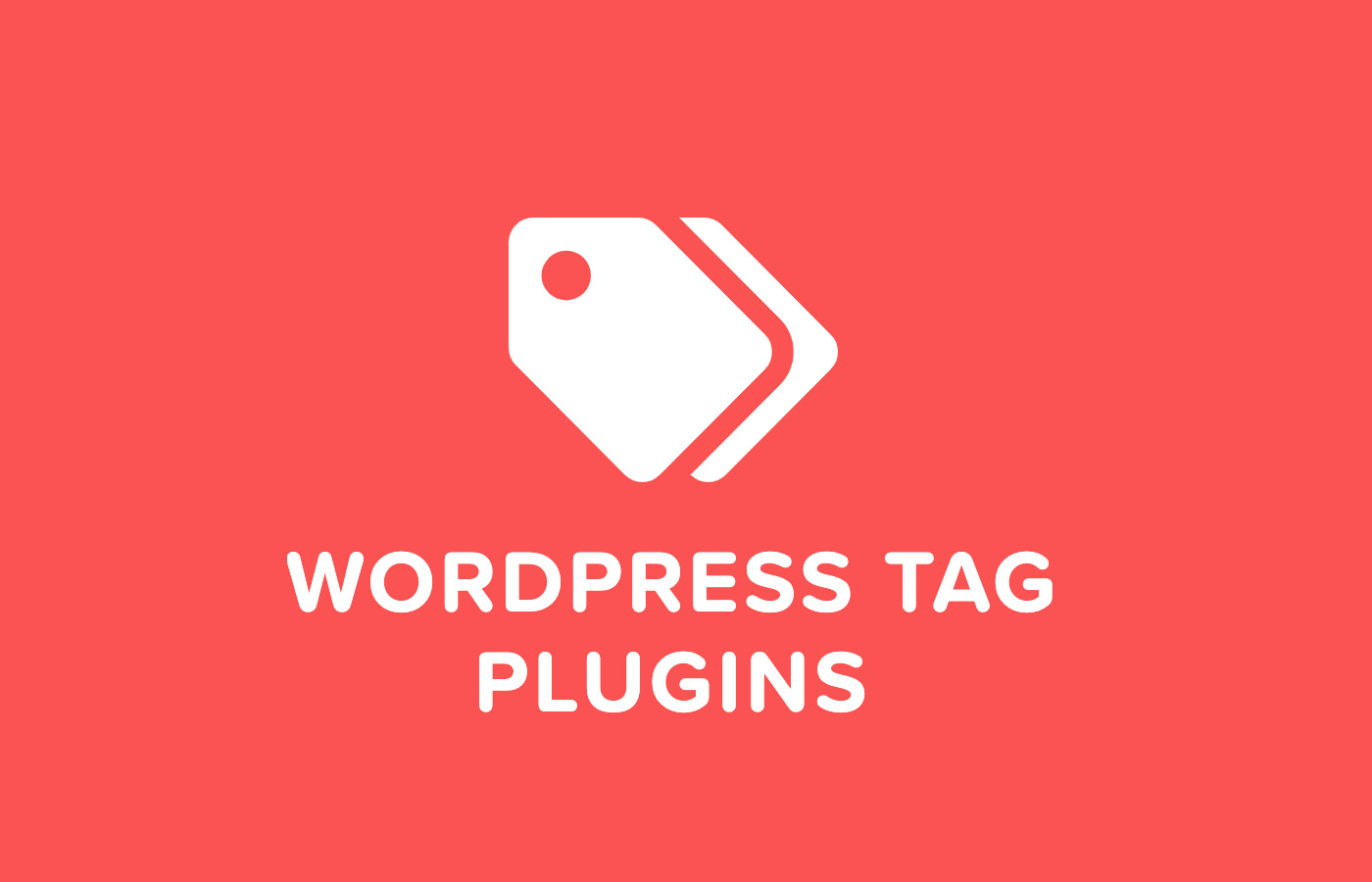 wordpress tag management plugins