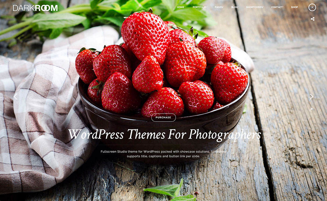 wordpress themes for photographers