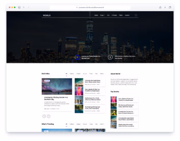 World website template