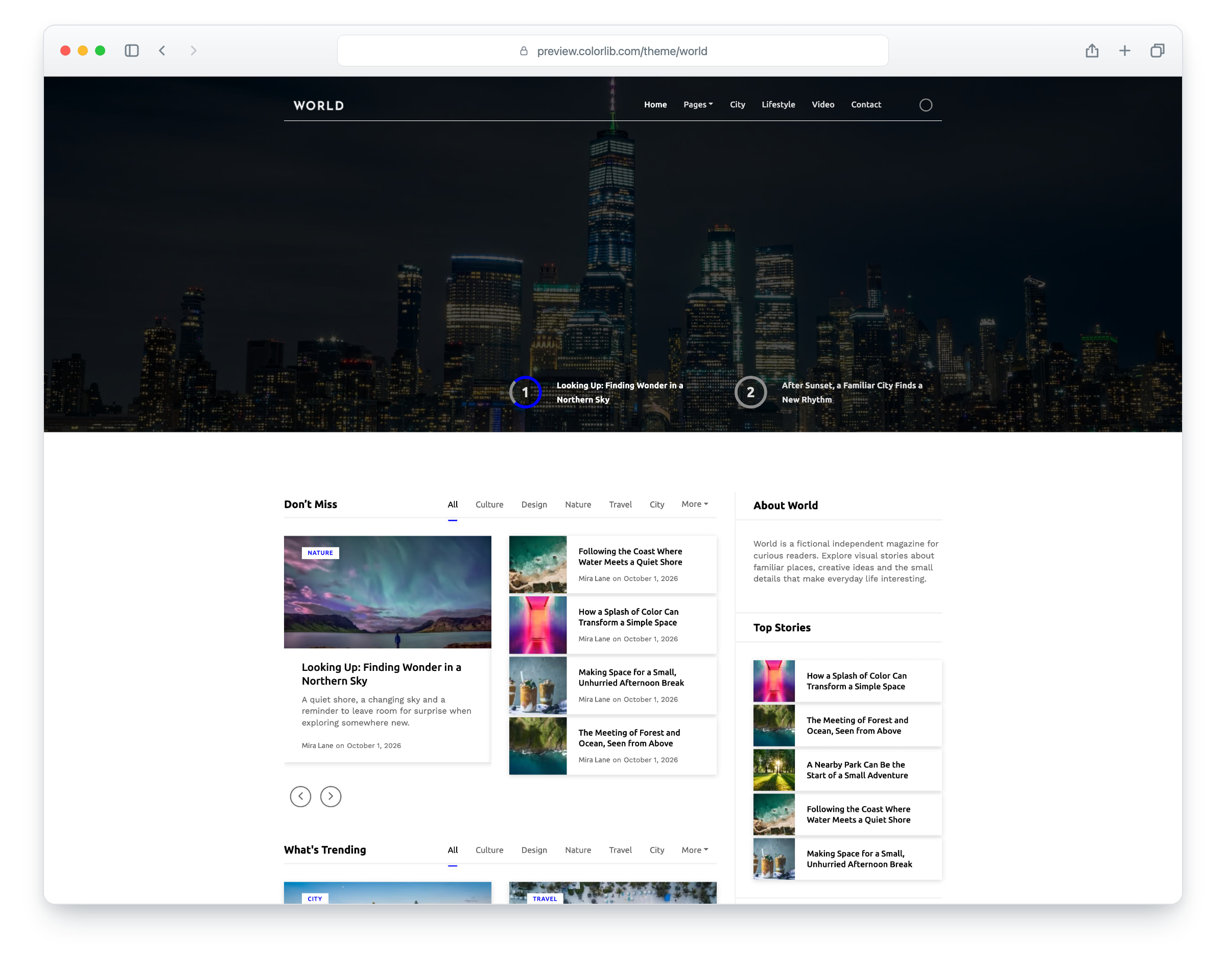 World website template