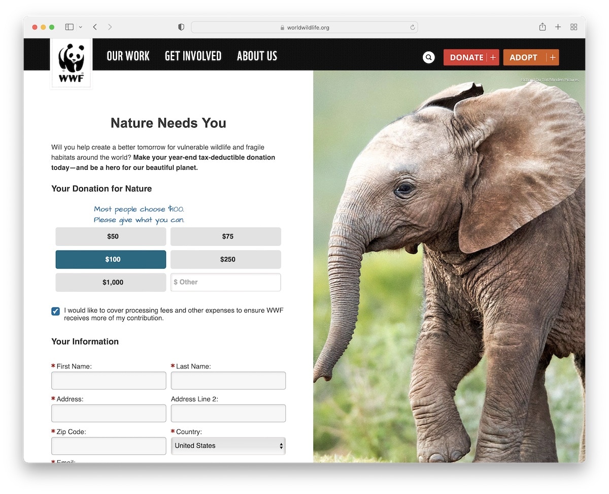 world wild life nonprofit website