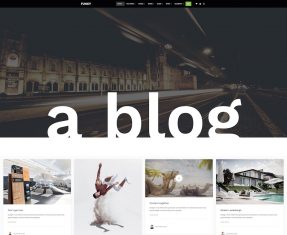 Writer Website Templates