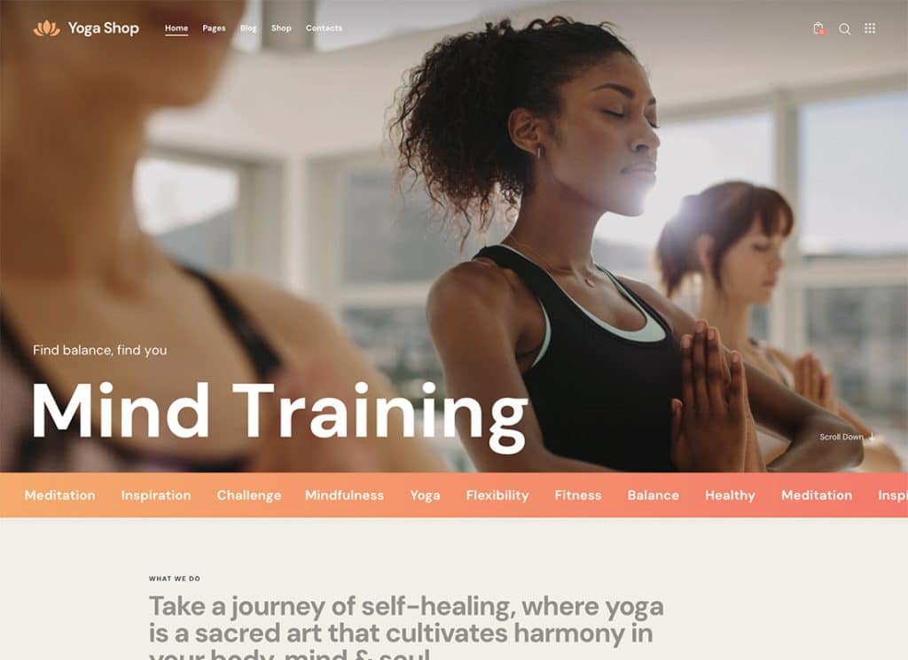 Yoga Shop - Yoga Studio, GYM & Equipment Store WordPress Theme
