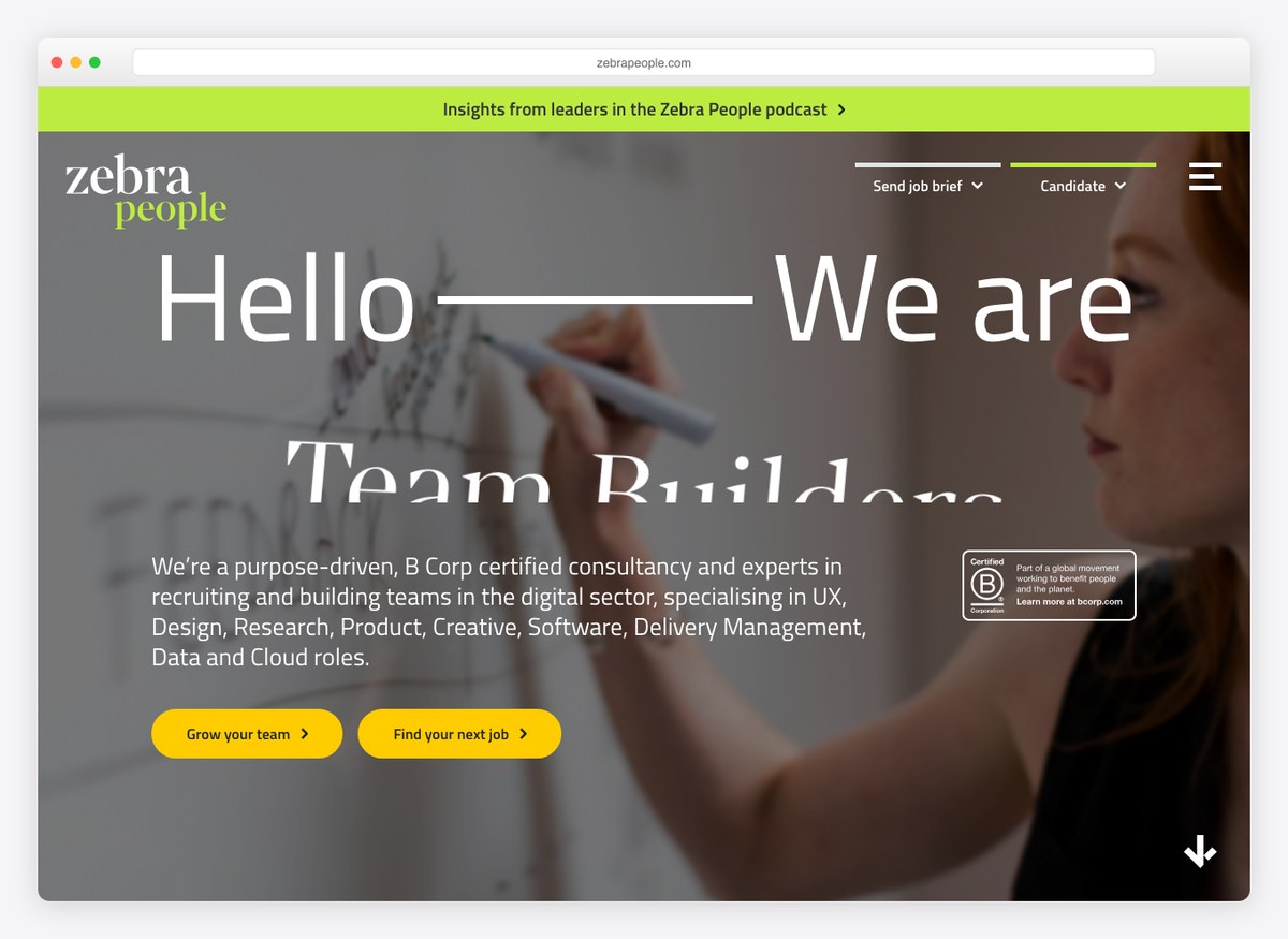 Zebra People recruitment website homepage